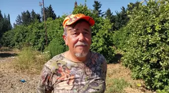 Dalaman'da Yaban Domuzu Sürek Avı Gerçekleştirildi