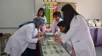 Muş Alparslan Üniversitesi'nde Optisyenlik Programı Atölyesi Açıldı