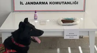 Muş'ta Uyuşturucu Tacirlerine Operasyon: 2 Gözaltı