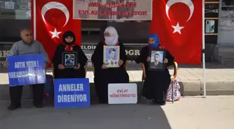 Muş'ta Aileler, PKK Tarafından Dağa Götürülen Çocukları için Eylemde