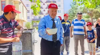Nallıhan'da Sahipsiz Hayvanlara Destek Etkinliği