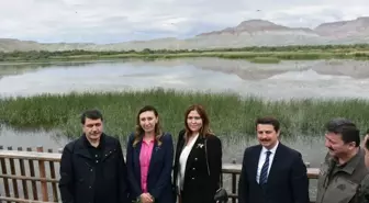 Nallıhan Kuş Cenneti'nde 8. Foto Safari Başladı
