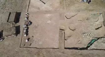 Hititlerin Kutsal Kenti Nerik'ta 3.500 Yıllık Fındık Fosili Bulundu