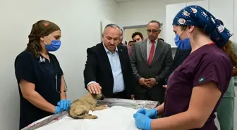 Nevşehir Valisi Ali Fidan, Hayvan Bakımevini Ziyaret Etti