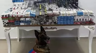 Niğde'de Tırda 3 Bin 606 Paket Kaçak Sigara Ele Geçirildi