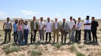 Niğde Üniversitesi'nden Yöresel Fidan Çeşitleri ile Bağ Kurulumu