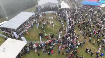 22. Geleneksel Çambaşı Yayla Festivali Sona Erdi