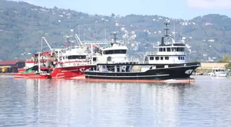 Ordu'da Hamsi Bolluğu: Balıkçılar Limana Dolu Dönüyor