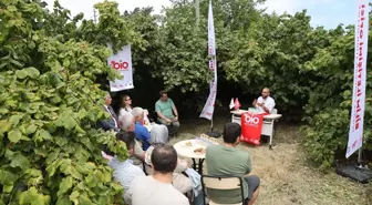 Balık Atıkları Fındık Tarımında Kullanılacak