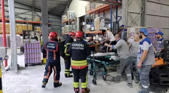 Fatsa'da İş Kazası: Bir İşçi Ağır Yaralı