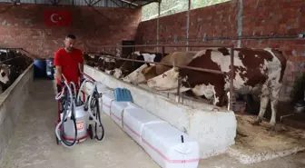 Ordu'da Süt Üretimini Destekleyen Proje: Süt Soğutma Tankı Desteği