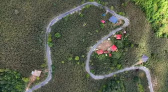 Ünye'de Ağıdere Mahallesi'nde 1,6 Kilometrelik Yol Sıcak Asfaltla Kaplandı