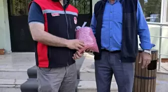 Bursa'da Çiftçilere Kuru Fasulye Tohumu Desteği