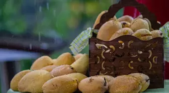 Pakistan'ın Ankara Büyükelçiliği'nde Mango Festivali Düzenlendi