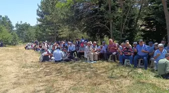 Pazaryeri'nde Geleneksel Sarıdayı Pilav Günü Etkinliği Düzenlendi