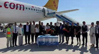 Pegasus, Hatay Seferlerini Yeniden Başlattı