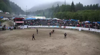 Rize'de 29. Ayder Kültür ve Sanat Festivali Boğa Güreşleriyle Son Buldu