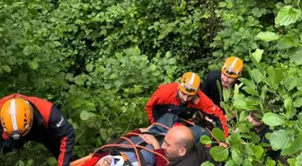 Rize'de Çay Hasadı Sırasında Yamaçtan Yuvarlanan Kişi Yaralandı