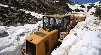 Rize'de Karla Mücadele Çalışmaları Devam Ediyor