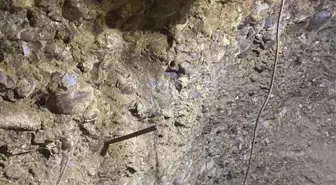 Rüyasında gördüğü için tünel kazarak define arayan anne ile oğlu yakalandı