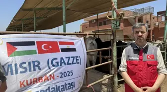 Sadakataşı Derneği Gazze İçin Mısır'da Kurban Kesimi Yaptı