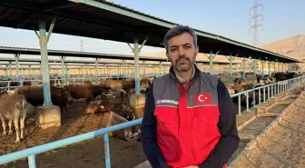 Sadakataşı Derneği'nden Gazze'ye Kurban Yardımı