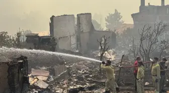 Geyve'deki Orman Yangını İkinci Günde Mücadele Ediliyor