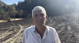 Sakarya'da Orman Yangını Çiftçiyi Vurdu: Ekinler ve Tarım Aletleri Zarar Gördü