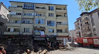 Sapanca'da Çınar Ağacı Apartmanın Üzerine Devrildi
