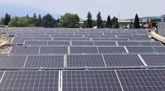 Sakarya'da Güneş Enerji Santrali İle 40 Ton Karbondioksit Emisyonu Önleniyor