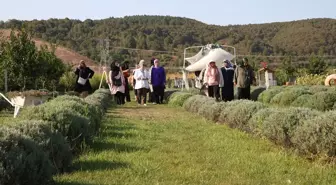 Kanser Hastası Kadınlar Lavanta Bahçesinde Morale Kavuştu