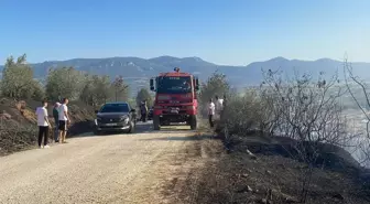 Pamukova'da çıkan yangın kontrol altına alındı