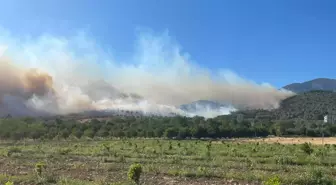 Sakarya'nın Pamukova İlçesinde Yangın Çıktı