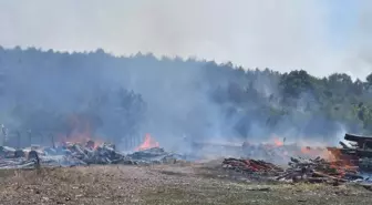 Sakarya'da Orman İşletme Deposunda Yangın Çıktı