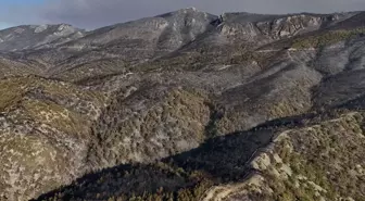 Geyve'deki Orman Yangını Hava İzleme ile Kaydedildi