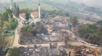Sakarya'da Orman Yangını Kontrol Altına Alınmaya Çalışılıyor