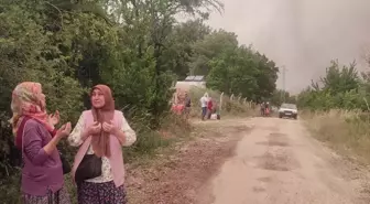 Sakarya'da Orman Yangını Kontrol Altına Alınmaya Çalışılıyor