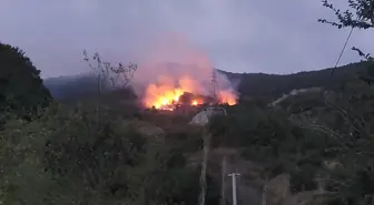 Geyve'de Orman Yangını Kontrol Altına Alındı