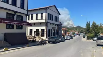 Sakarya'nın Taraklı İlçesinde Orman Yangını