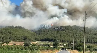 Geyve'de Orman Yangını Söndürülmeye Çalışılıyor