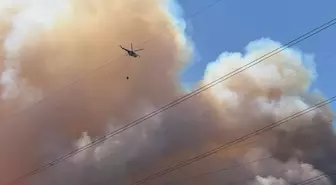 Sakarya'nın Geyve İlçesinde Orman Yangını Çıktı