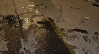 Akyazı'da Motosiklet Kazası: 21 Yaşındaki Sürücü Hayatını Kaybetti