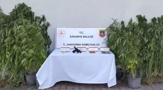 Geyve'de Uyuşturucu Operasyonu: 1 Zanlı Tutuklandı