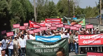 Mudurnu Deresi Kirletildi, Akyazı'da Büyük Protesto