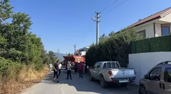 Sakarya'da Orman Yangını Kontrol Altına Alındı