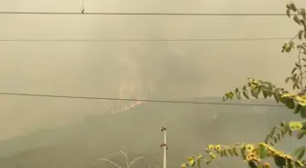 Bilecik'te Orman Yangını Sebebiyle Ciciler Köyü Tahliye Ediliyor