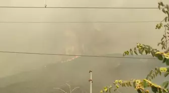 Geyve'deki Orman Yangını Selçik Köyüne Sıçradı