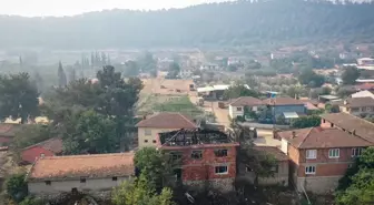 Sakarya'daki Orman Yangını Kontrol Altına Alınıyor
