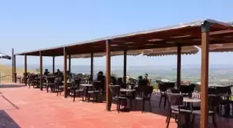 Sakarya'da Sanat ve Doğa Etkinlikleri Dolu Dolu Geçiyor
