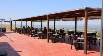 Sakarya'da Sanat ve Doğa Etkinlikleri Dolu Dolu Geçiyor